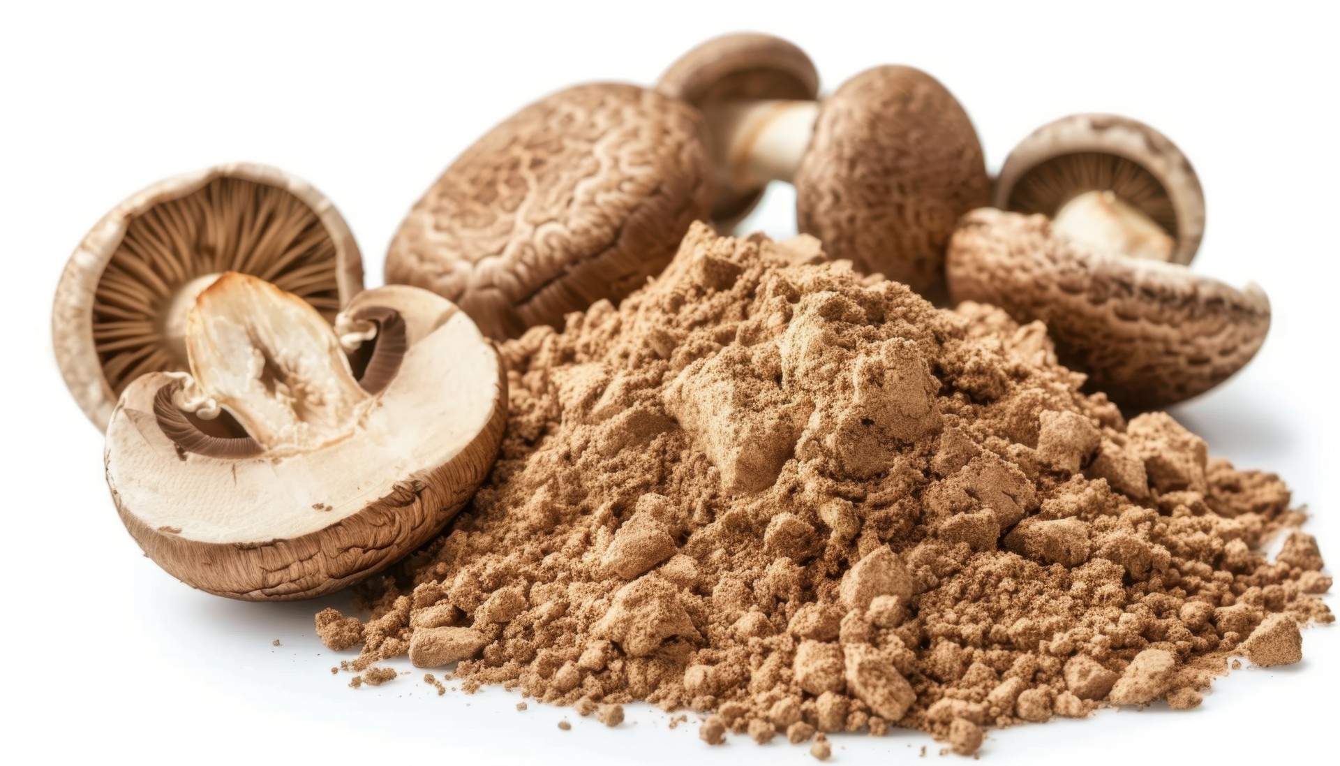 L'essence pure du champignon, capturée pour sublimer chaque plat. Une transformation culinaire à portée de main.