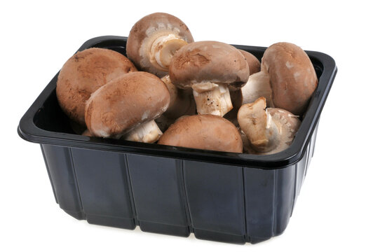 As Invest - Producteur Algérien de Champignons de Qualité "Lela Roba"